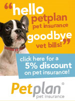 Petplan pet insurance is the number one choice of veterinarians. Click here for a 5% discount! Petplan pet insurance is the number one choice of veterinarians. Click here for a 5% discount!